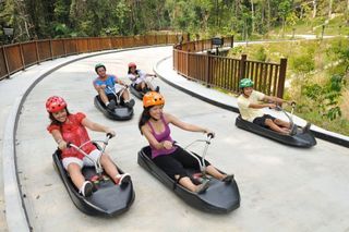 Luge and Skyride