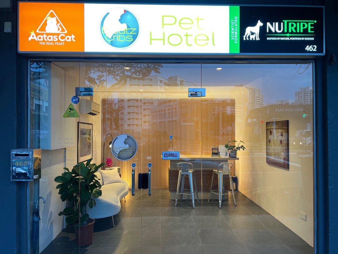 Cat Boarding Pampered Pet Services Resort Spa Pet Shop Abc Pet