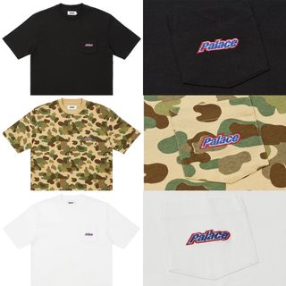 PALACE Collection item 3