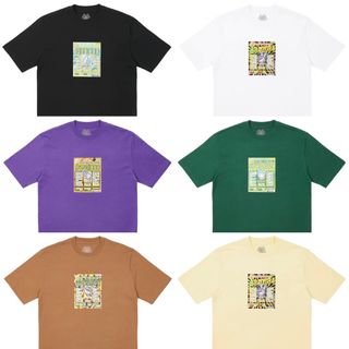 PALACE Collection item 2
