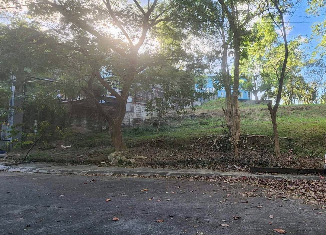 Parkridge Estates Antipolo Lot For Sale, Property, For Sale, Lot on