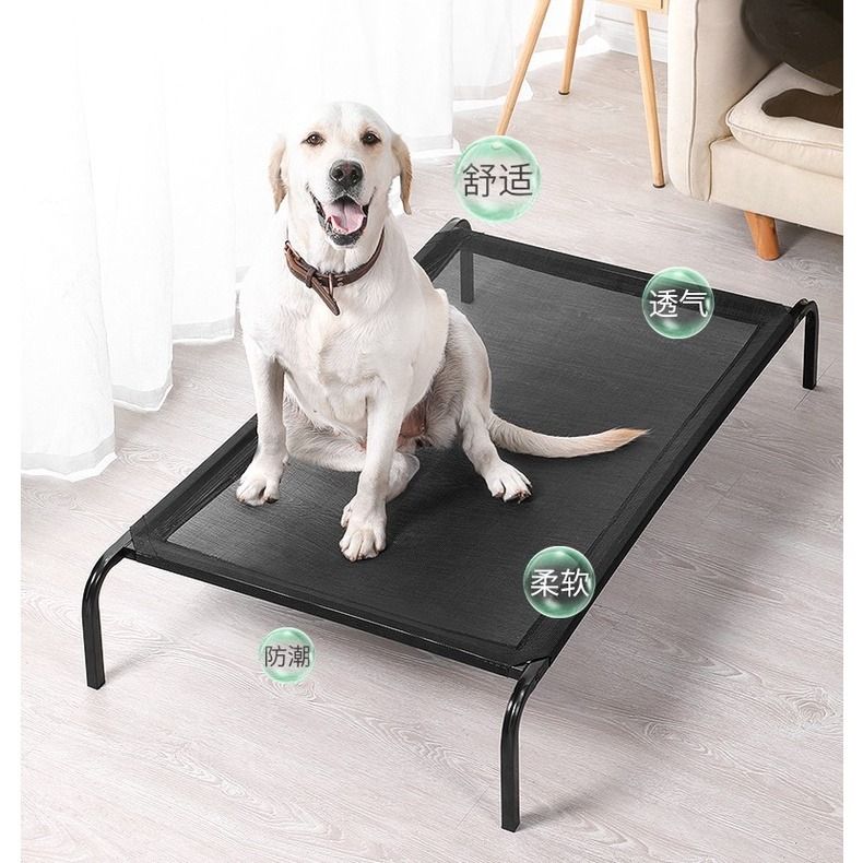 Elevated dog bed outlet xl