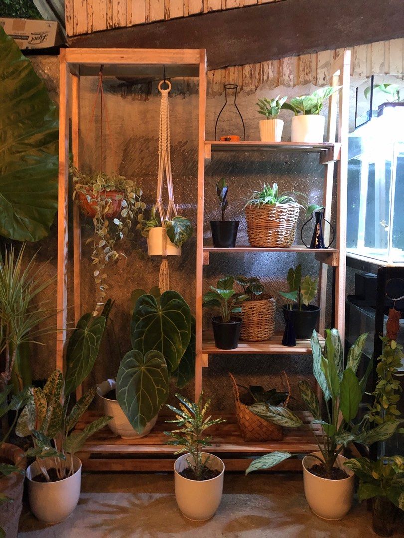 Plant rack, Furniture & Home Living, Gardening, Pots & Planters on ...