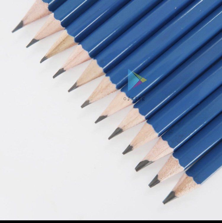 32pcs/Set Professional Drawing Sketch Pencil Kit Including Sketch