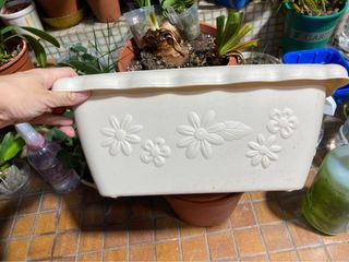 （分類：）位於 。 由 littlelittleadp 提交（商品編號 1223180784，圖片 1）。簡介： 。
