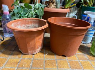 （分類：）位於 。 由 littlelittleadp 提交（商品編號 1223180337，圖片 1）。簡介： 。