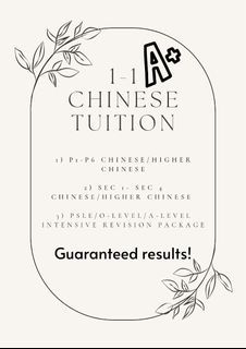 Chinese tuition