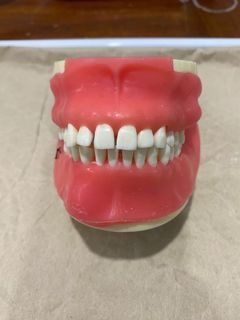 Oral Surgery articulator for Special Surgery-Dental supply/school needs