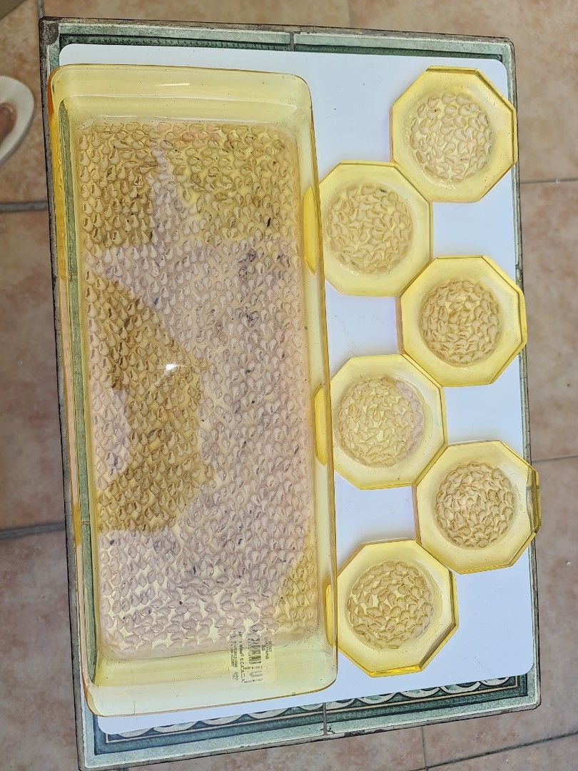 VINTAGE Drink's Tray and Coaster set (Category: Coffee & Tea Tableware) located in Makati City. Submitted by harvesting_game (Listing ID 1223010132, Image 2). Description: One set of Vintage: 6 Coasters and 1 Drink's Tray. Brand-new, never been used and comes packaged in a box. Made of Hard plastic with actual seashells embedded in the Tray and Coasters. Good to use for entertaining or as a gift. enjoy!.
