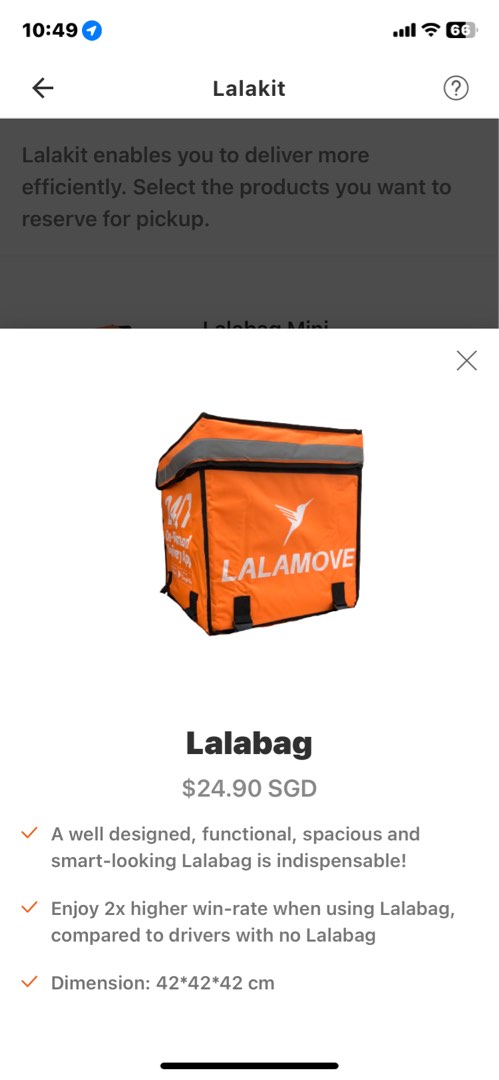 lalabag lalamove bag size
