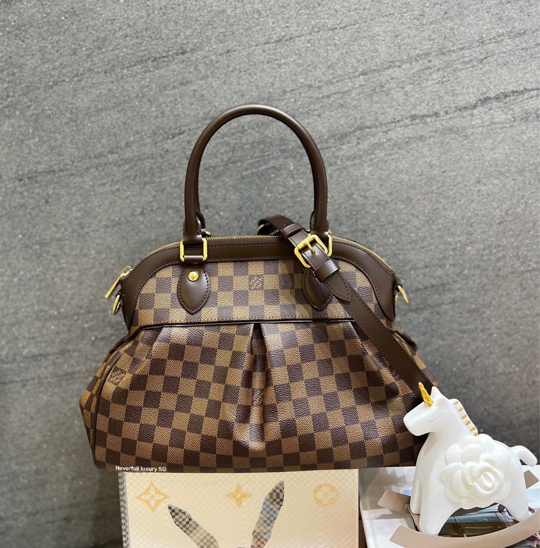Louis Vuitton Damier Ebene Trevi PM, Luxury, Bags & Wallets on Carousell