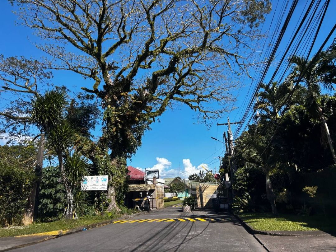 MCL FOR SALE 2,168 sqm Residential Lot in Sta. Clara Subd., Bacolod