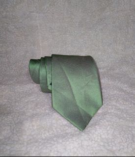 Missy's ZARA MAN Green Necktie Tie for Men