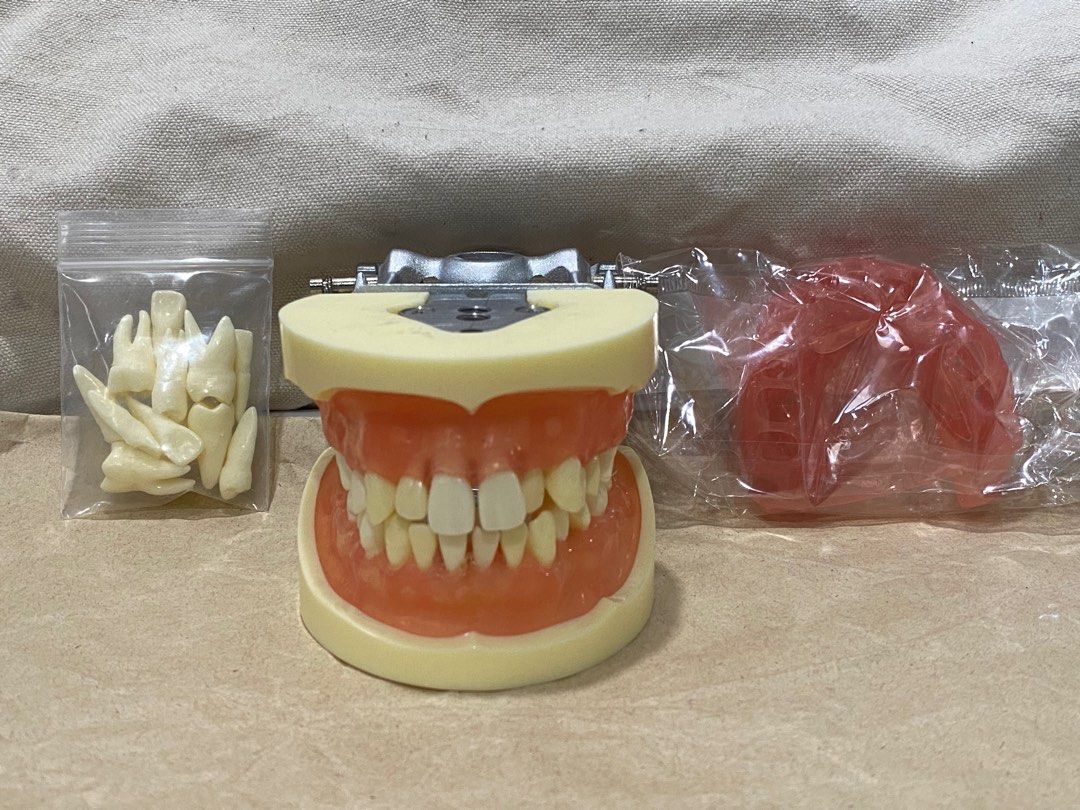 Oral Surgery Simple Exo Articulator Dental school needs (Category: Medical Supplies & Tools) located in Pasig City. Submitted by donzzeee (Listing ID 1223010637, Image 2). Description: With extra gums and typo refills Like good as new.