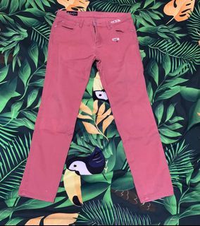 Paddocks Colored Jeans