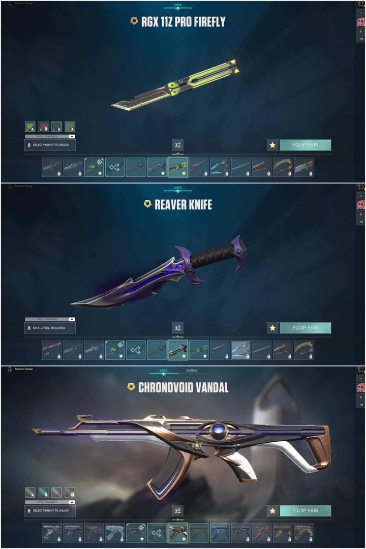 RGX BUNDLE+CHRONOVOID VANDAL+REAVER KNIFE, 12 PREMIUM VALORANT ACCOUNT ...
