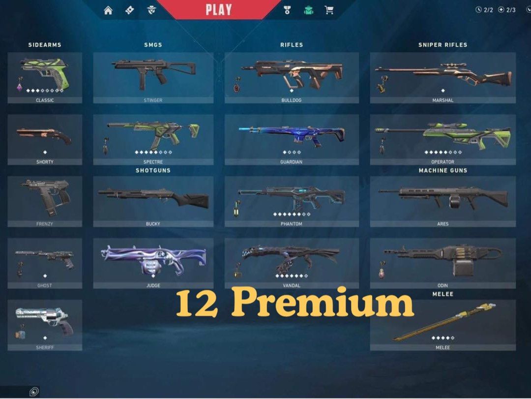 RGX BUNDLE+CHRONOVOID VANDAL+REAVER KNIFE, 12 PREMIUM VALORANT ACCOUNT ...