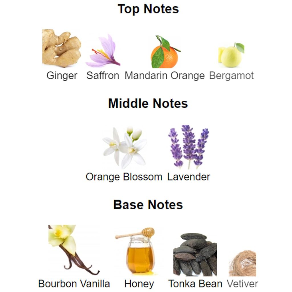 Ysl libre notes 2025