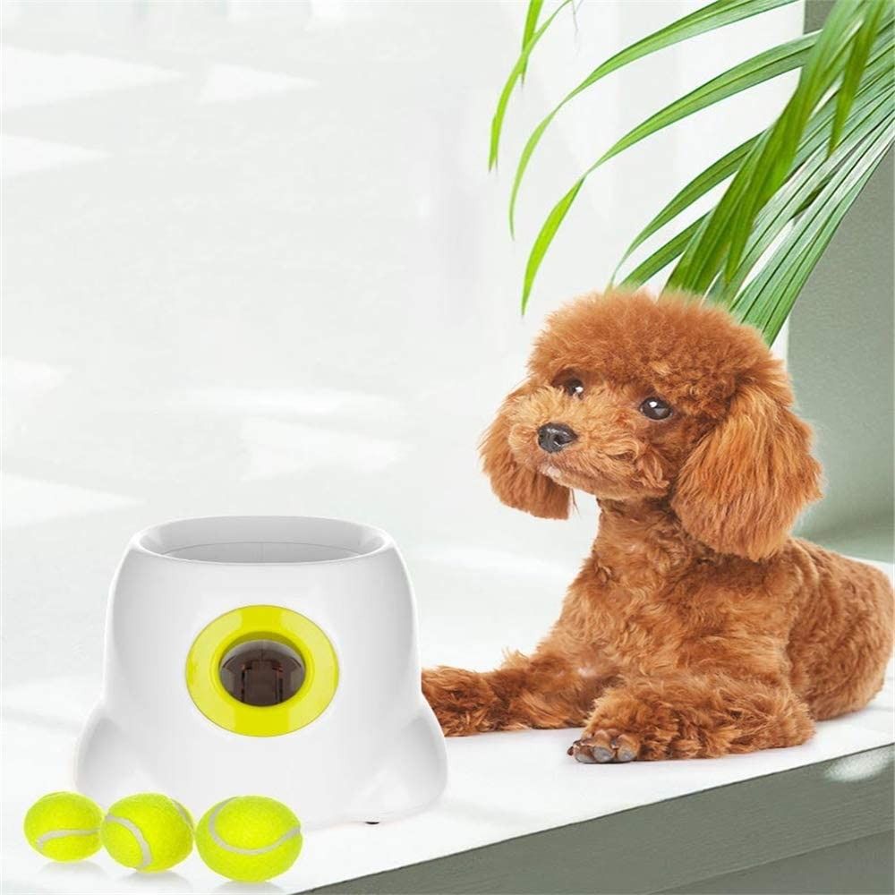 Electronic ball thrower deals for dogs