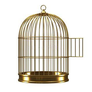 (Category: ) located in . Submitted by goodfellassupply (Listing ID 1223213771, Image 1). Description: .