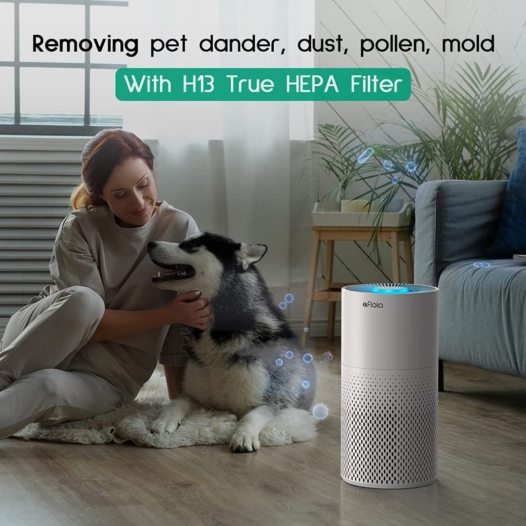 Afloia Air Purifier for Home Smokers 99.99 Effective 22db True