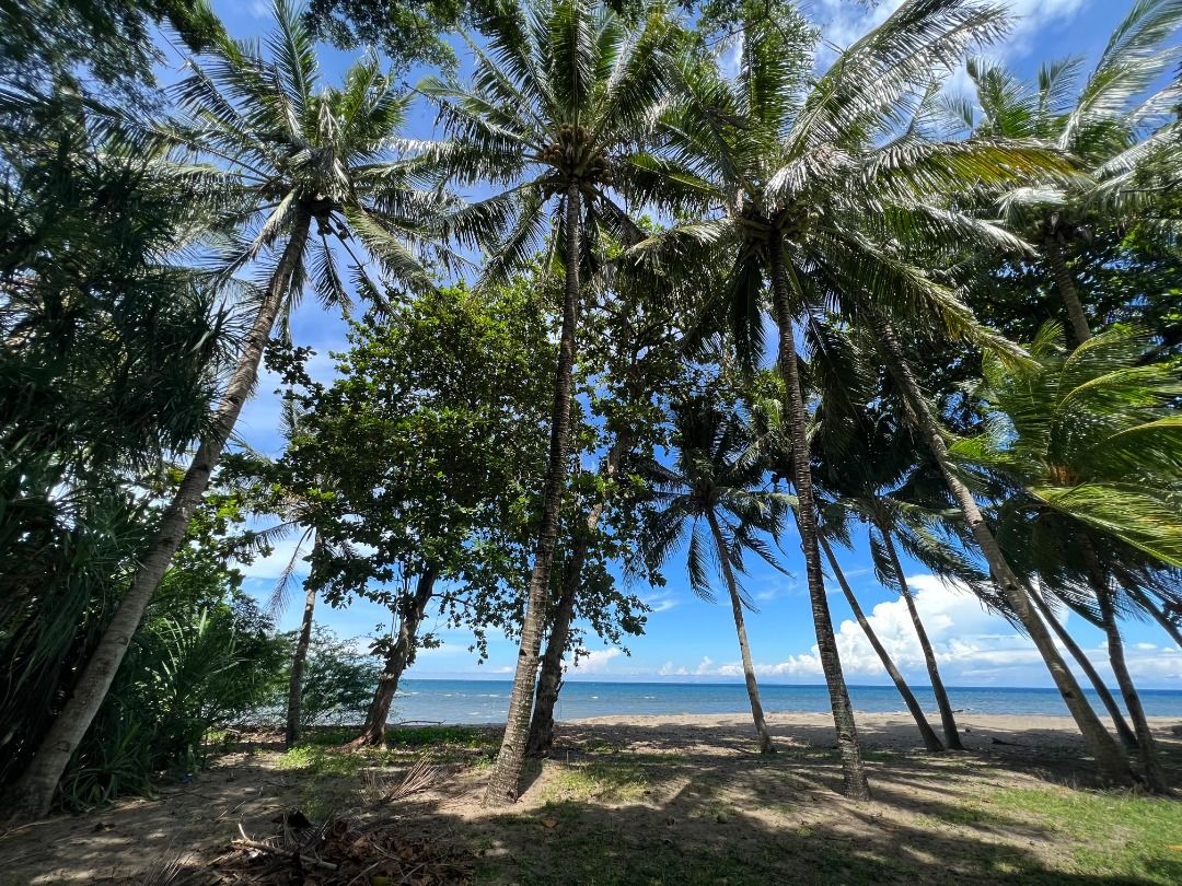 Beach Lot Zamboanguita, Dauin, Property, For Sale, Lot on Carousell
