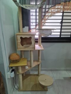Cat Condo