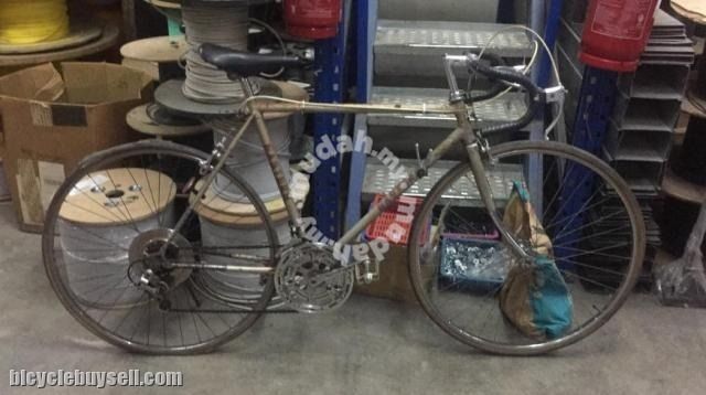 Golden eagle best sale road bike