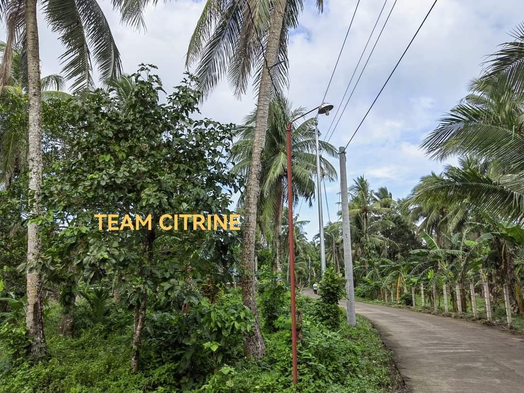 For Sale Farm Lot only. PHASE 3 DINAHICAN, INFANTA ,QUEZON. 10 minutes