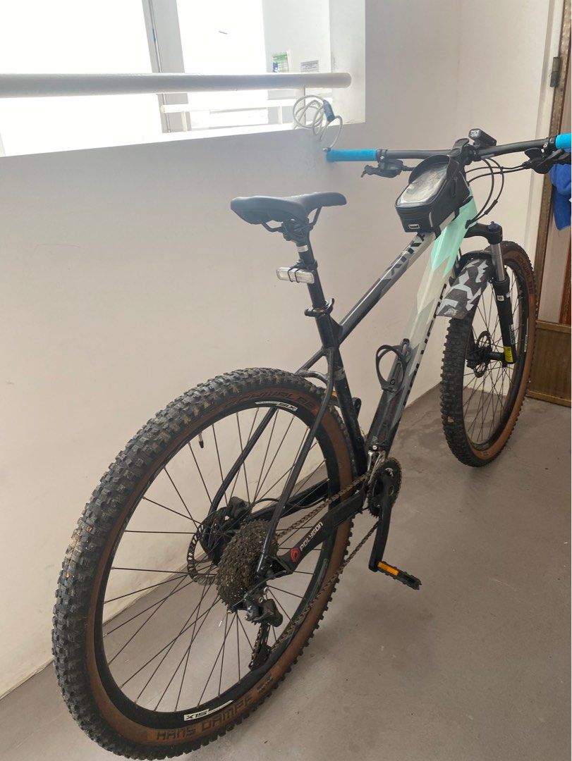 polygon 29er