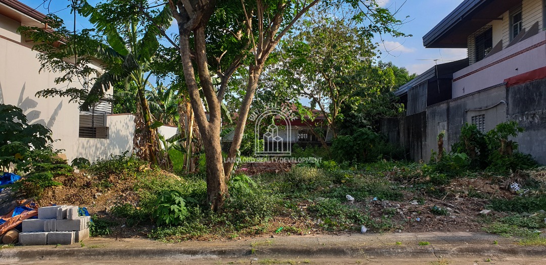 Safe and Secure, no flooding Lot for sale in Mapayapa Village Phase 3