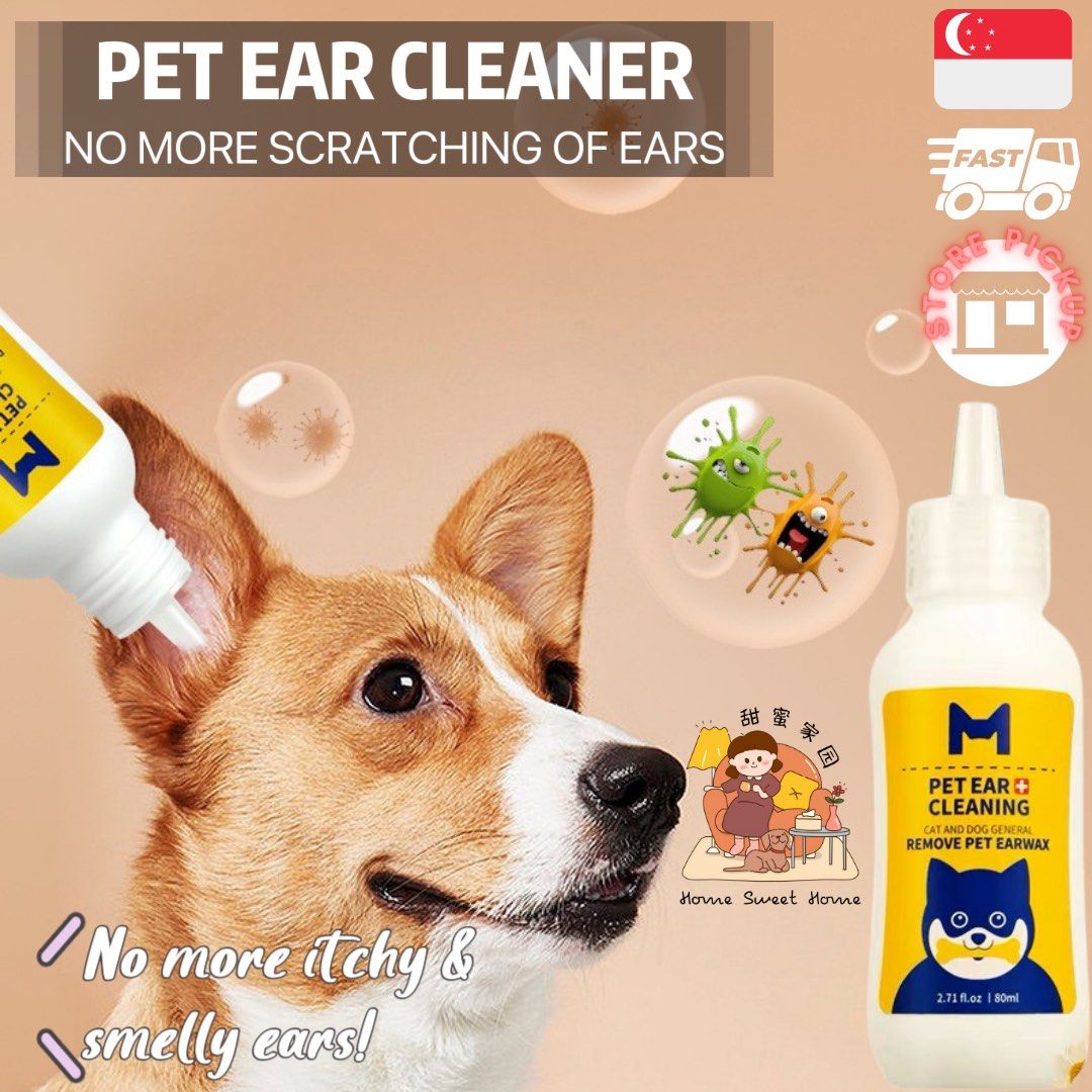 Dog ear cleaner pets at home top