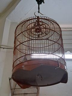 Shama cage