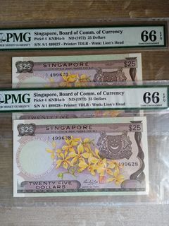 Singapore orchid $25 A1 X 2 running pair