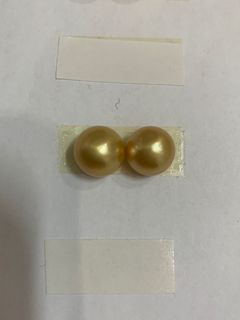 （適合大耳珠人仕）南洋金珠 11.6mm 18K金耳環