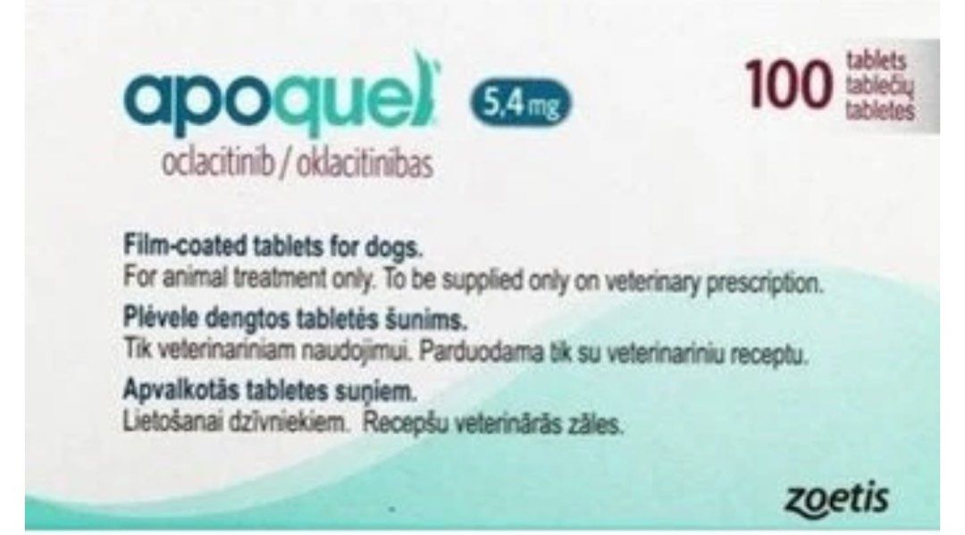 Apoquel 5.4mg, Health & Nutrition, Medical Supplies & Tools on Carousell