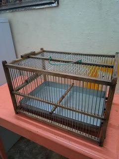 Bird bath cage
