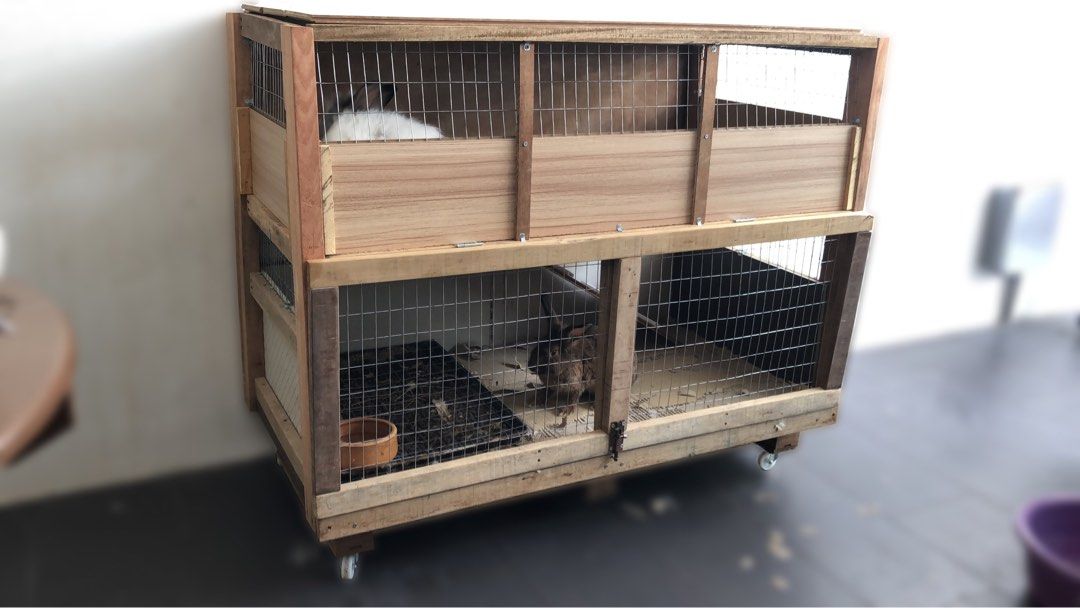 Custom guinea top pig houses