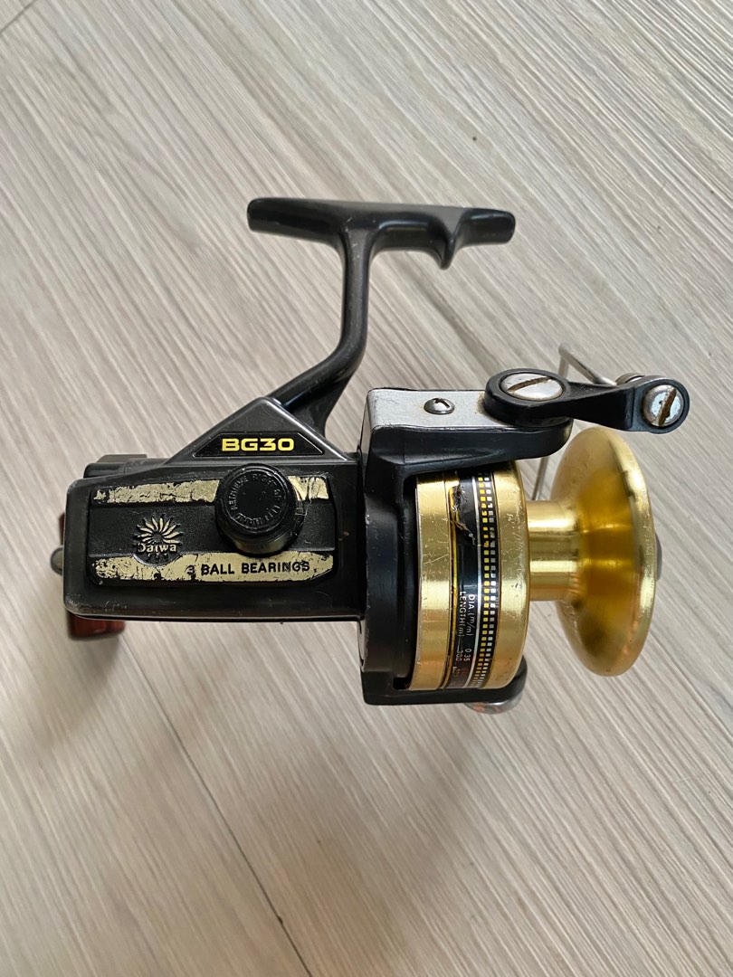 Daiwa BG30 fishing rod