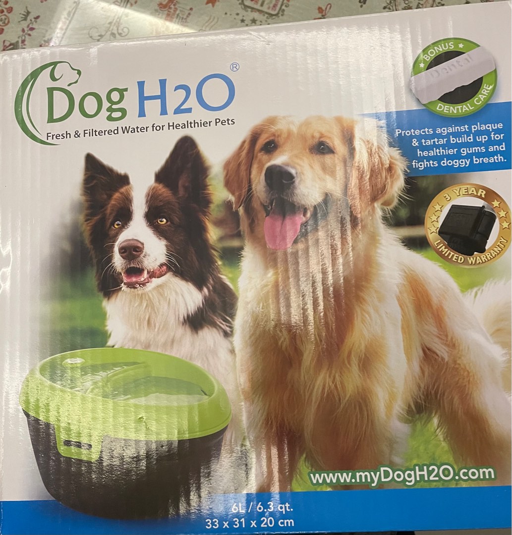 Dog H2O 6L Water Fountain with Bonus Filter & Dental Care, Pet Supplies