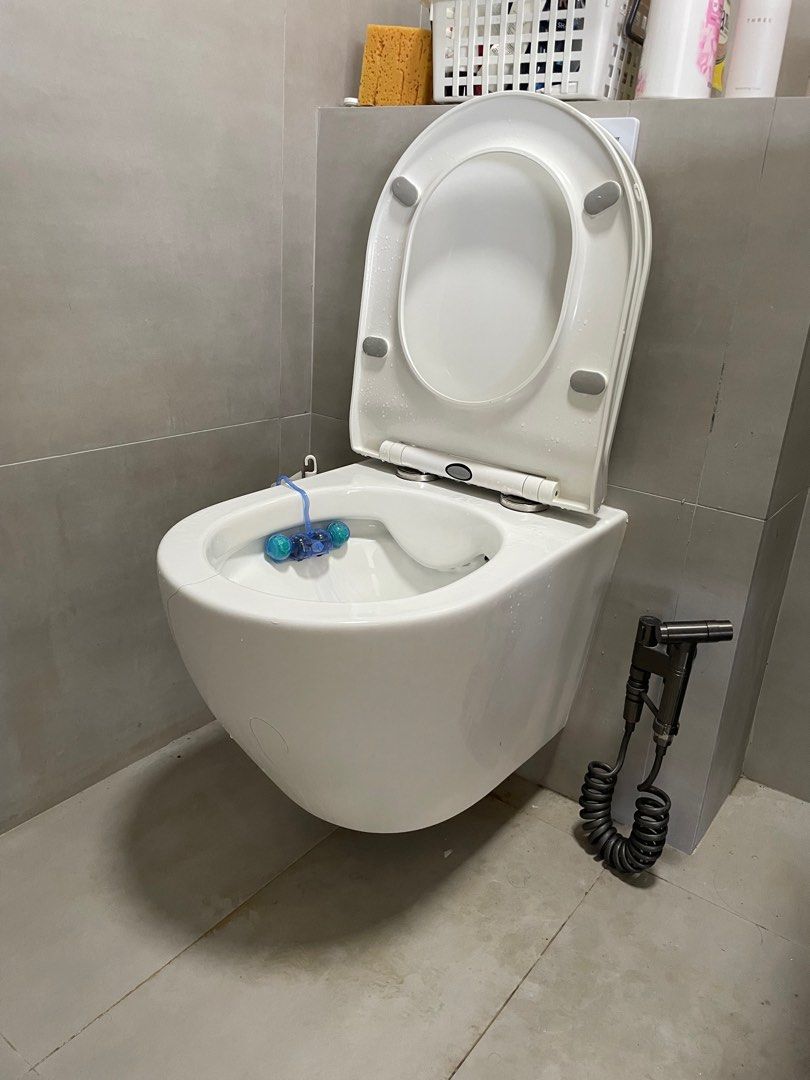 Geberit wall hung wc bracket with Kohler toilet bowl, Furniture & Home