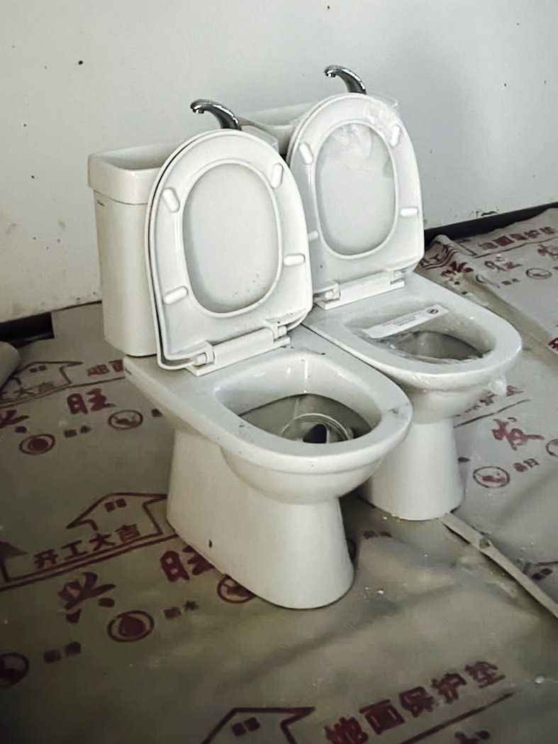 HDB BTO Toilet Bowl, Furniture & Home Living, Bathroom & Kitchen