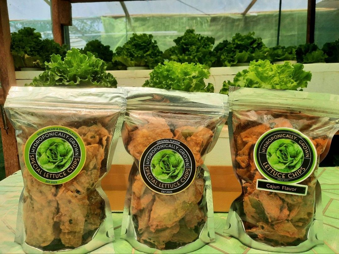 Lettuce Chips, Food & Drinks, Local Eats on Carousell