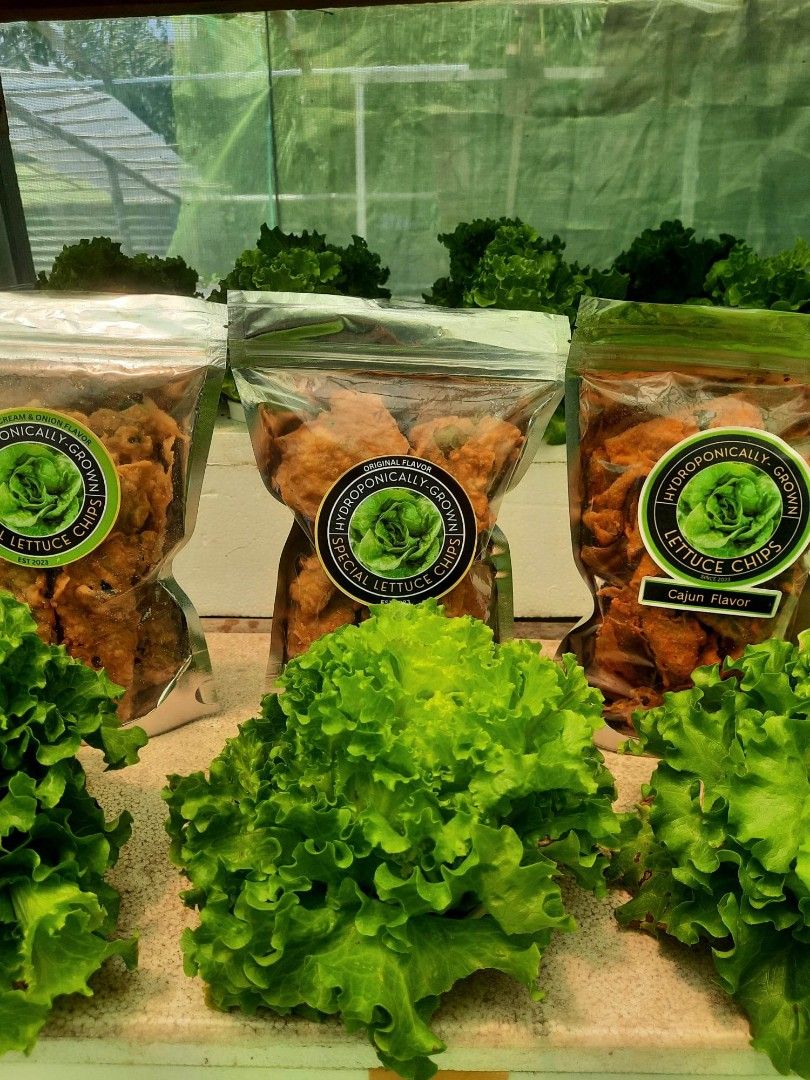Lettuce Chips, Food & Drinks, Local Eats on Carousell