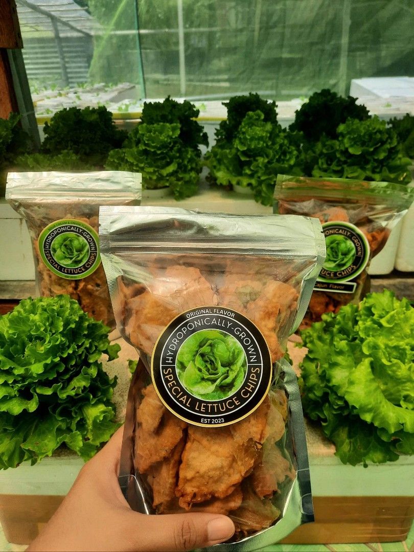 Lettuce Chips, Food & Drinks, Local Eats on Carousell