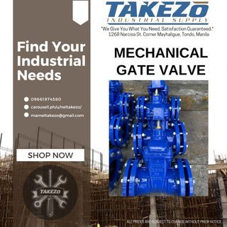 MECHANICAL GATE VALVE