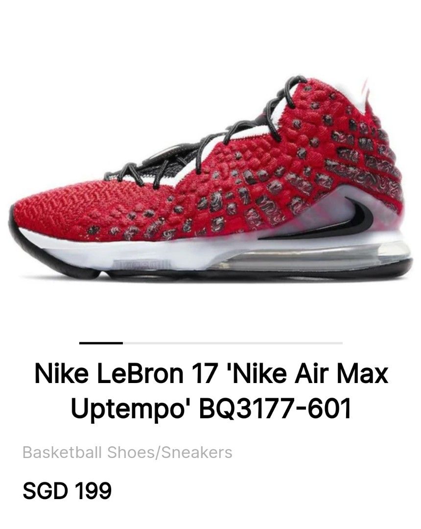 nike lebron 17 basketball
