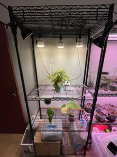(Category: ) located in . Submitted by TheGreenParadise (Listing ID 1223547568, Image 1). Description: .