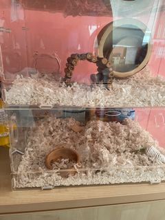 (Category: ) located in . Submitted by afiqahnzrh (Listing ID 1223447761, Image 1). Description: .