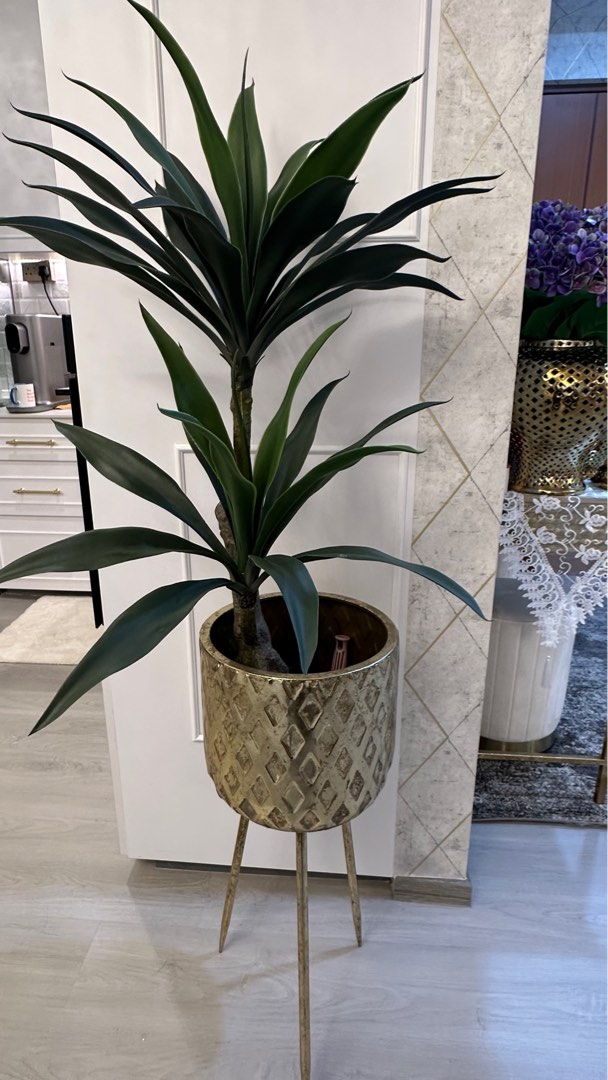Yuca Plant 120cm, Furniture & Home Living, Home Decor, Artificial